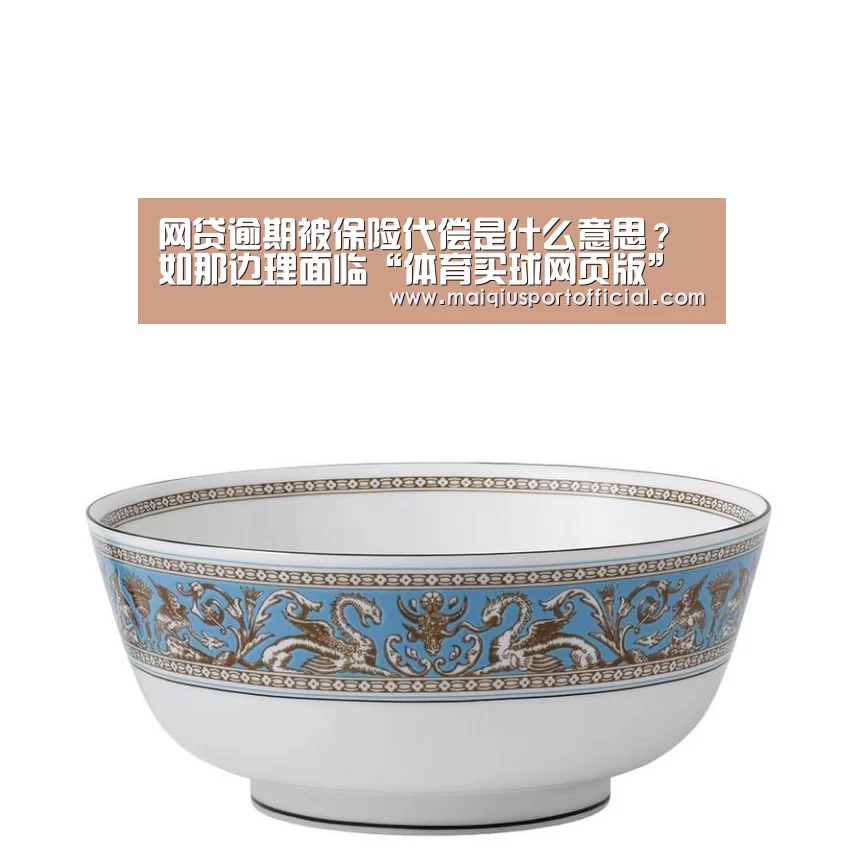 网贷逾期被保险代偿是什么意思?如那边理面临“体育买球网页版”(图2) 体育买球网页版