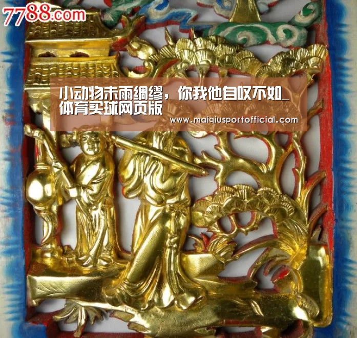 小动物未雨绸缪,你我他自叹不如_体育买球网页版(图3) 体育买球app