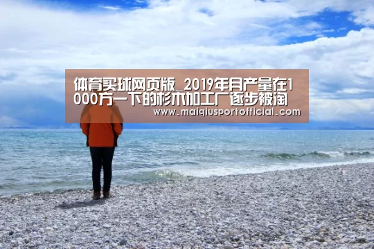 体育买球网页版