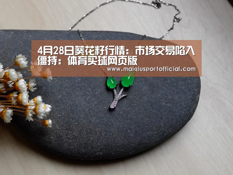体育买球app官网