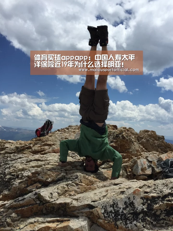 体育买球app官网