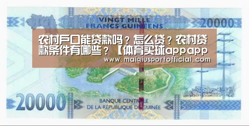 农村户口能贷款吗?怎么贷?农村贷款条件有哪些?【体育买球appapp】(图1) 体育买球app