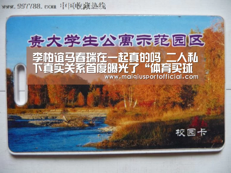体育买球app