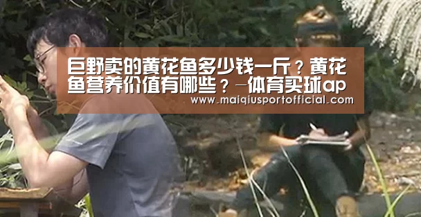 体育买球app官网