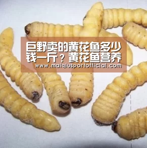 体育买球app
