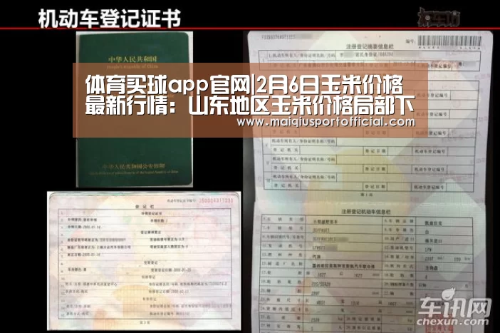 体育买球app官网|2月6日玉米价格最新行情:山东地区玉米价格局部下调!(图1) 体育买球app官网