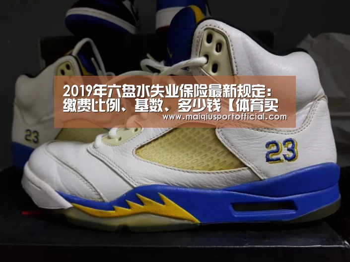 2019年六盘水失业保险最新规定:缴费比例、基数、多少钱【体育买球app】(图2) 体育买球app官网
