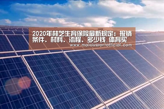 2020年林芝生育保险最新规定:报销条件、材料、流程、多少钱_体育买球appapp(图1) 体育买球app官网