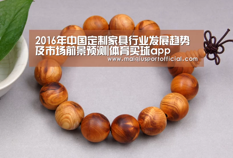 体育买球app官网
