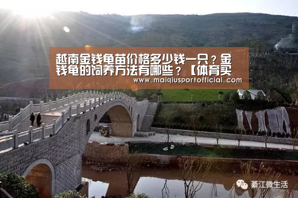 越南金钱龟苗价格多少钱一只?金钱龟的饲养方法有哪些?【体育买球appapp】(图1) 体育买球app