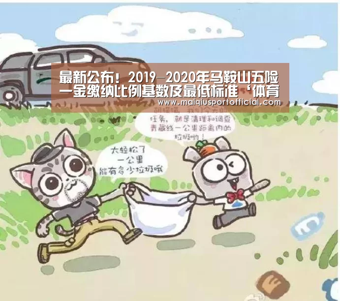 最新公布!2019-2020年马鞍山五险一金缴纳比例基数及最低标准‘体育买球网页版’(图3) 体育买球网页版