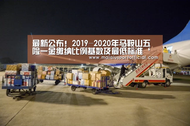 最新公布!2019-2020年马鞍山五险一金缴纳比例基数及最低标准‘体育买球网页版’(图4) 体育买球app官网