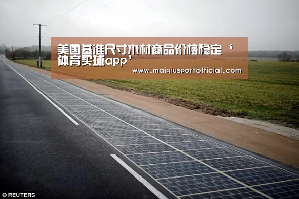 美国基准尺寸木材商品价格稳定‘体育买球app’(图2) 体育买球app官网