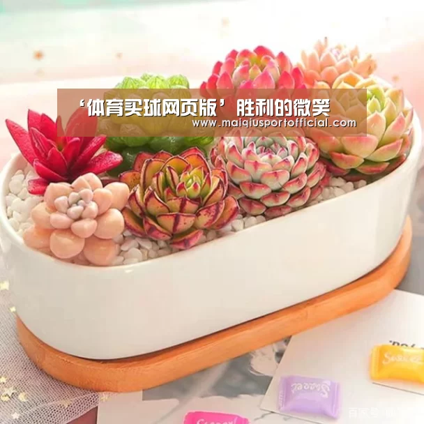 ‘体育买球网页版’胜利的微笑(图1) 体育买球appapp