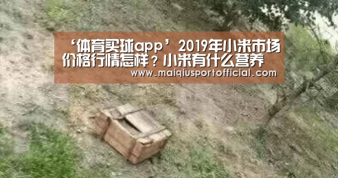 ‘体育买球app’2019年小米市场价格行情怎样?小米有什么营养价值?有哪些吃法?(图3) 体育买球网页版