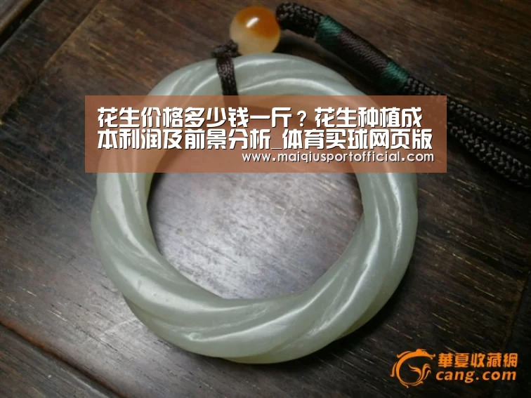 体育买球网页版