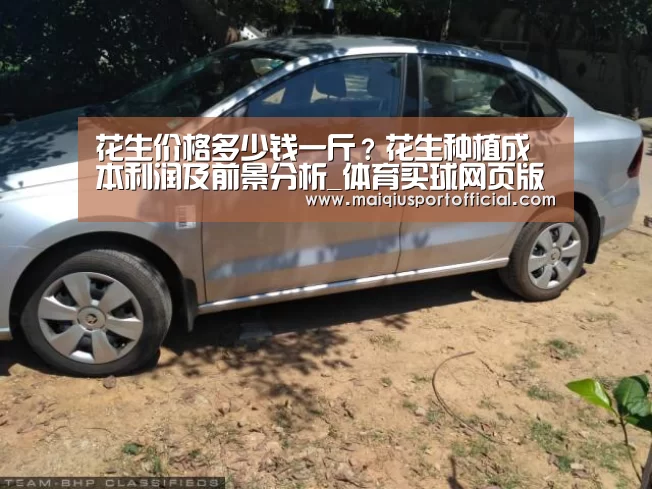 体育买球网页版